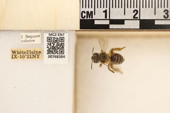 Media type: image;   Entomology 768384 Aspect: Labels